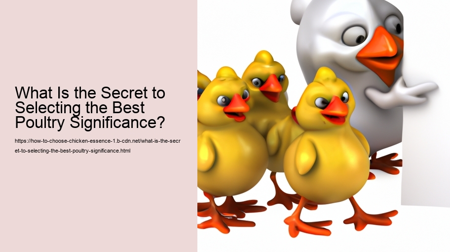 What Is the Secret to Selecting the Best Poultry Significance?