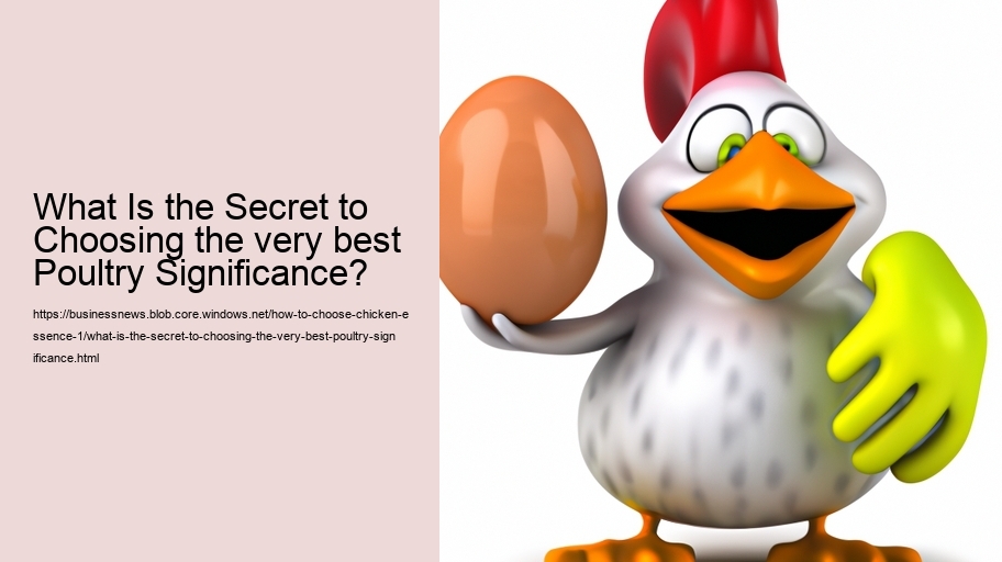 What Is the Secret to Choosing the very best Poultry Significance?