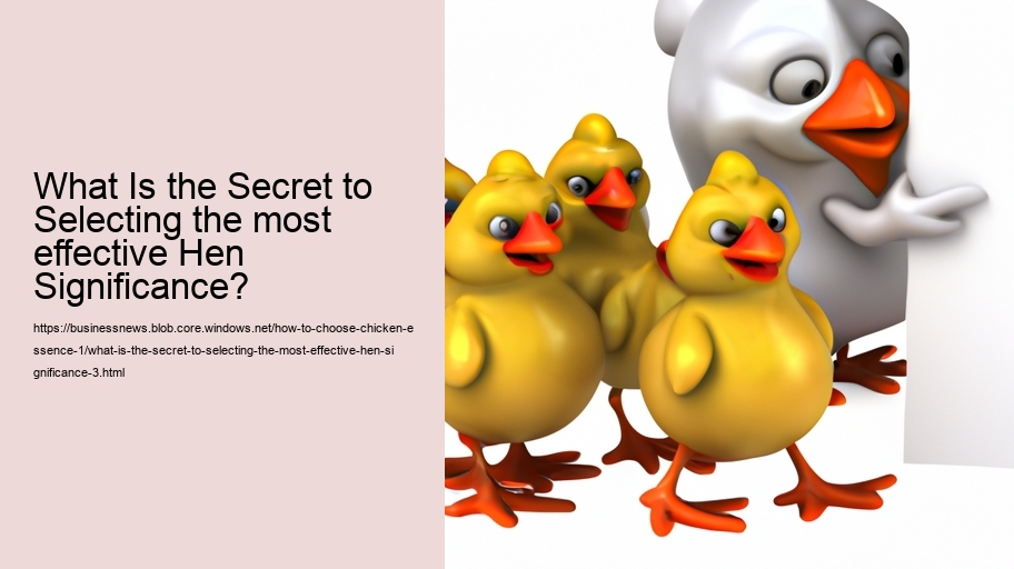 What Is the Secret to Selecting the most effective Hen Significance?