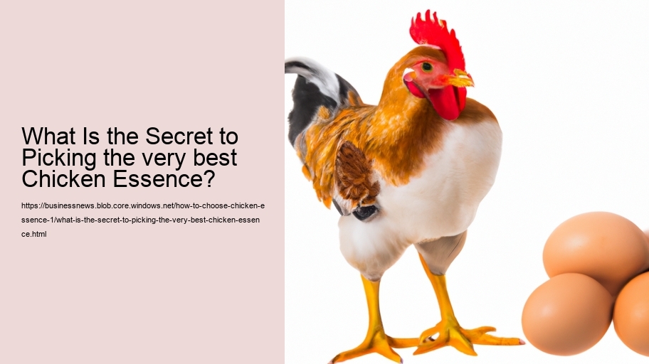 What Is the Secret to Picking the very best Chicken Essence?