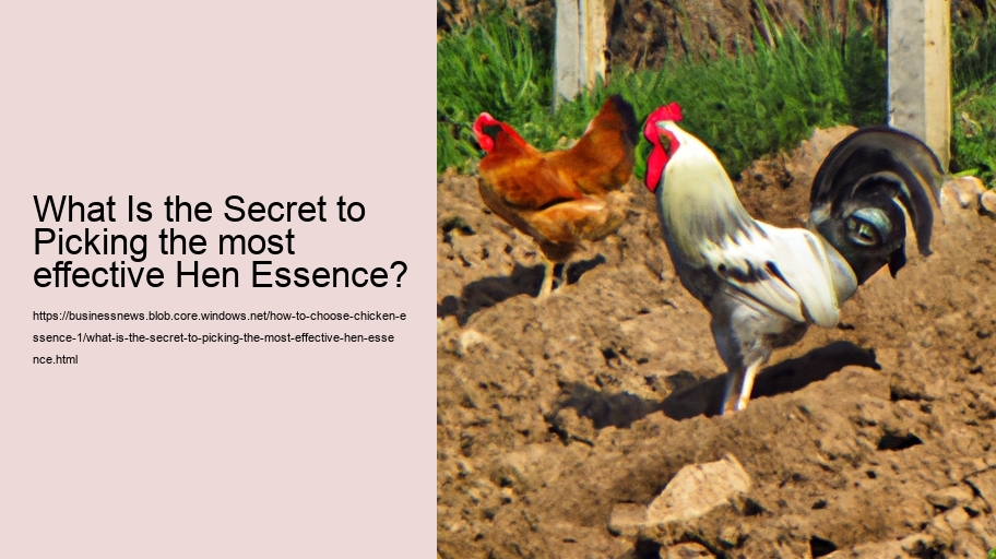 What Is the Secret to Picking the most effective Hen Essence?