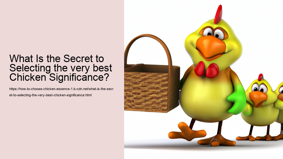 What Is the Secret to Selecting the very best Chicken Significance?